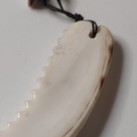 Very Cool Shell And String Necklace 21 Inches Long - Picture 9 of 15